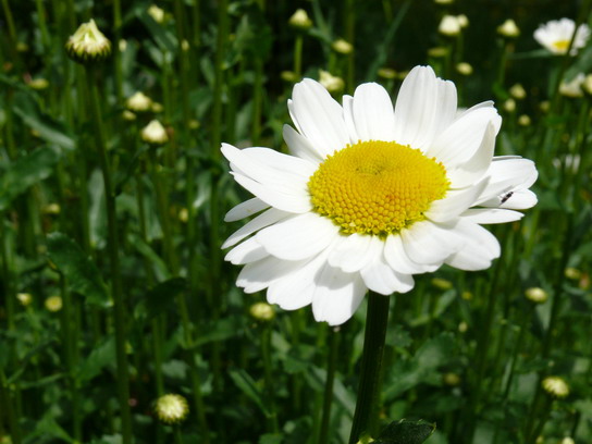 ��������� ���������